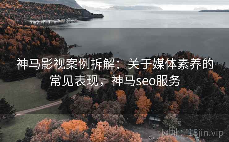 神马影视案例拆解：关于媒体素养的常见表现，神马seo服务