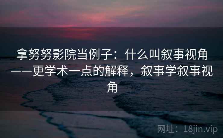 拿努努影院当例子：什么叫叙事视角——更学术一点的解释，叙事学叙事视角
