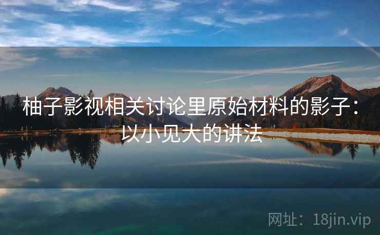 柚子影视相关讨论里原始材料的影子：以小见大的讲法