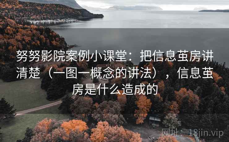 努努影院案例小课堂:把信息茧房讲清楚(一图一概念的讲法),信息茧房是什么造成的 努努影院案例小课堂:把信息茧房讲清楚(一图一概念的讲法),信息茧房是什么造成的