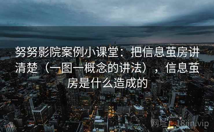 努努影院案例小课堂：把信息茧房讲清楚（一图一概念的讲法），信息茧房是什么造成的